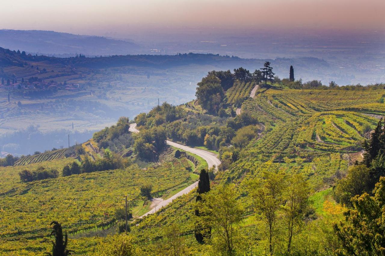 Valpolicella Homes Recioto Apartment SantʼAmbrogio di Valpolicella Kültér fotó